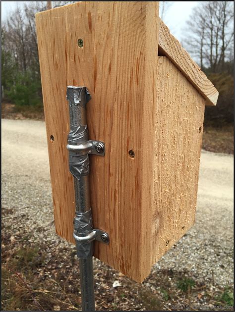 bluebird nest box settings